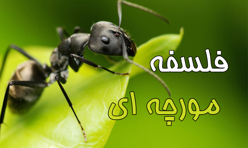فلسفه مورچه‌ای چیست؟ - www.ananab.ir