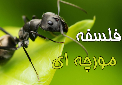 فلسفه مورچه‌ای چیست؟ - www.ananab.ir